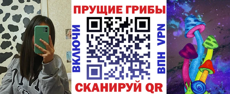 Псилоцибиновые грибы GOLDEN TEACHER  Купить закладки  Рославль 